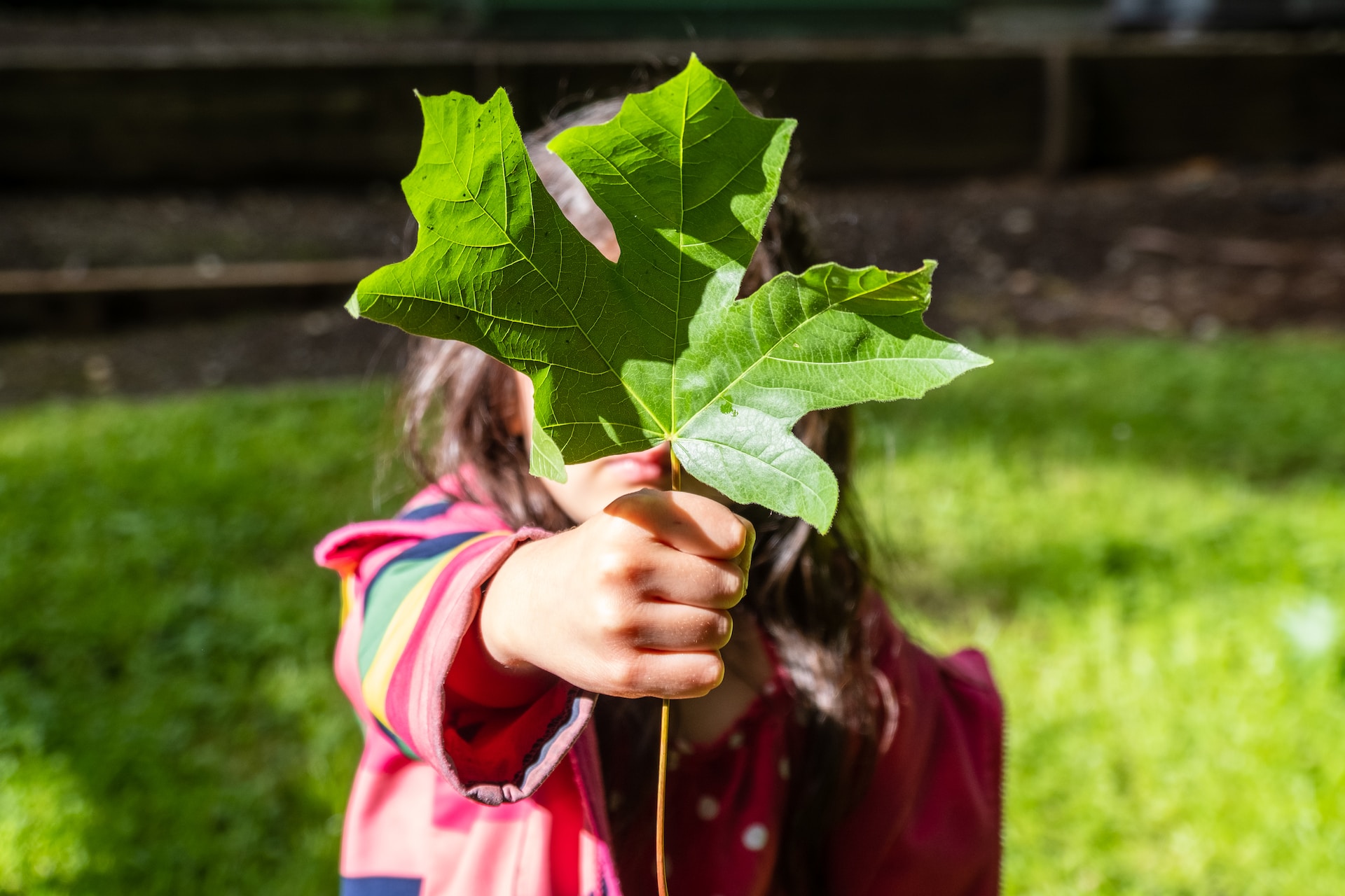 Education’s Impact on Environmental Policy and Advocacy